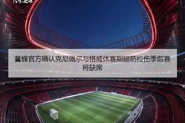 黄蜂官方确认克尼佩尔与格威休赛期腿筋拉伤季前赛将缺席